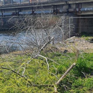“Riqualificare le sponde del torrente S. Giovanni di Intra”