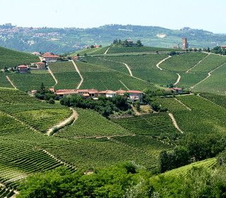 Un sondaggio nazionale rivela che il piemontese è tra i dialetti meno apprezzati in Italia
