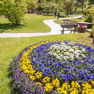 ph: Susy Mezzanotte ph: Susy Mezzanotte