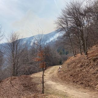 Valle Strona, il fronte del fuoco supera i 4 chilometri. Ora si spera nell'aiuto della pioggia FOTO