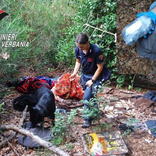 Blitz nei boschi di Carpugnino, arrestati due spacciatori VIDEO