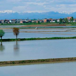 Il clima pazzo penalizza le coltivazioni piemontesi, ma il colpo di grazia arriva dall'inflazione