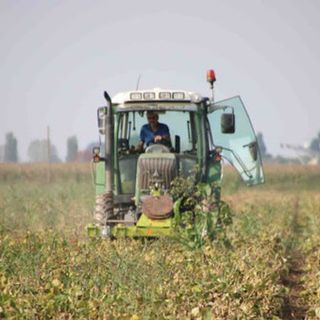 Clima e colture bio: dalla Regione arrivano 50 milioni di euro per le aziende che investono