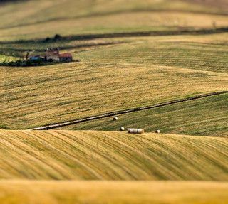 Dal Pnrr 26.5 milioni di euro a sostegno dell'agricoltura di precisione in Piemonte