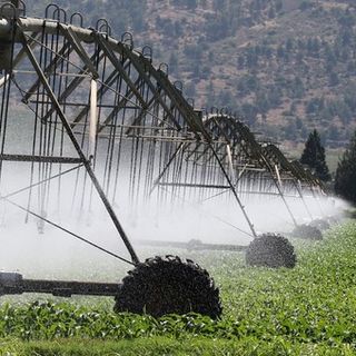 30 milioni per strutture irrigue, agricole e di bonifica: aperto il bando per gli investimenti in Piemonte