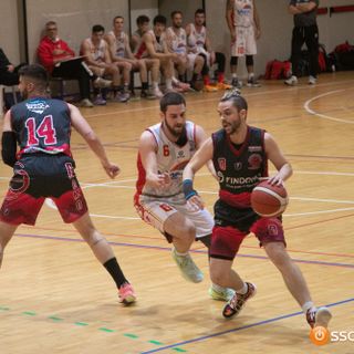 Serie D, turno di riposo per la Cestistica