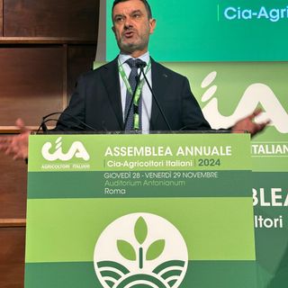 Assemblea Cia: aree interne e svantaggiate diventino “zone franche”