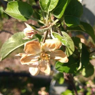 ''Danni ingenti, serve lo stato di calamità e un sostegno per le imprese&quot;