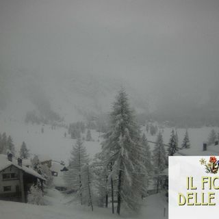 Tantissima neve fresca nelle montagne del Vco dopo le copiose nevicate delle ultime ore