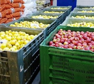 Annata agraria, Carenini (Cia): &quot;Cresce il brand dell'agroalimentare piemontese, servono garanzie di sostenibilità&quot;