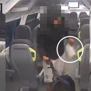 Furto sul treno Domodossola-Milano: denunciato un 21enne VIDEO
