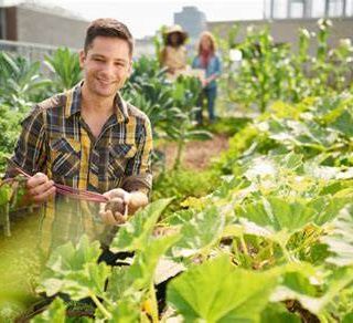 Il bando da 45 milioni di euro con il &quot;pacchetto&quot; per i giovani agricoltori slitta al 15 aprile