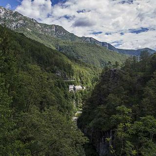 Trasformazione del bosco: la giunta abbassa a 10.000 euro l’importo base per il calcolo della compensazione