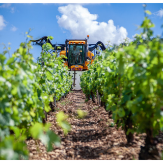 Nuove misure di sostegno per le aziende agroalimentari del Piemonte