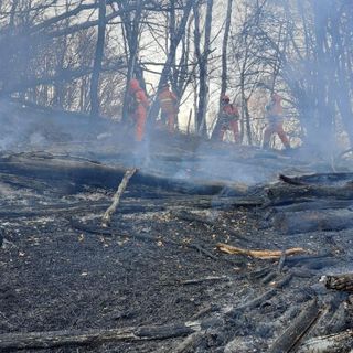 Foto Facebook Corpo Aib Piemonte