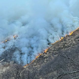 Preoccupano ancora gli incendi che stanno flagellando il Cusio FOTO