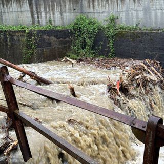 Maltempo, danni all'agricoltura in Piemonte: l'assessore Marnati incontra l'Aipo
