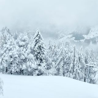 Manca la neve, l'allarme di Coldiretti: &quot;Agricoltura e turismo in pericolo&quot;