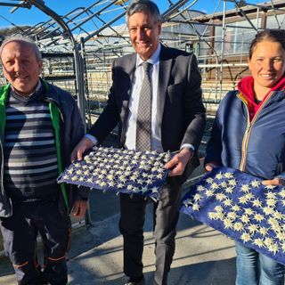 Regione, dal Piemonte stelle alpine per il papa