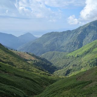 Ripristino ambientale, avviati i lavori di contenimento della felce aquilina in Val Grande