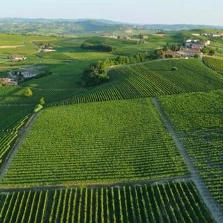 Il biologico piemontese cresce grazie alla cooperazione