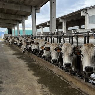 Foto da www.novara-vco.coldiretti.it