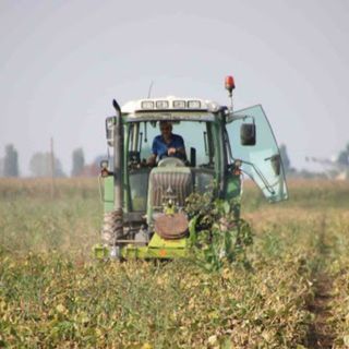 Coldiretti Piemonte: &quot;Bene fondi Ismea per sostenere le imprese giovani&quot;