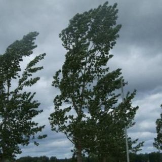 In Piemonte nasce l’Osservatorio Regionale sui cambiamenti climatici