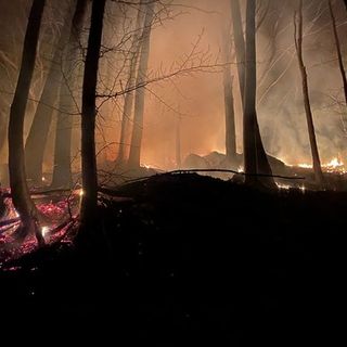 Incendi boschivi, la Regione Piemonte approva le linee guida per i piani di prevenzione territoriali Incendi boschivi, la Regione Piemonte approva le linee guida per i piani di prevenzione territoriali