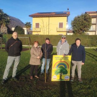 Movimento 5 Stelle Vco, si è conclusa l'iniziativa "Dona un albero alla tua città"