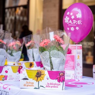 Tornano a Verbania i "Fiori della consapevolezza" contro l'endometriosi