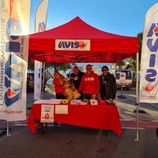 Avis Verbania in assemblea: bilancio e rinnovi al centro dell’incontro