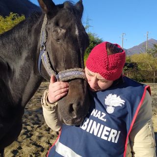 A Verbania l'evento "Un cuore per il cavallo amico"