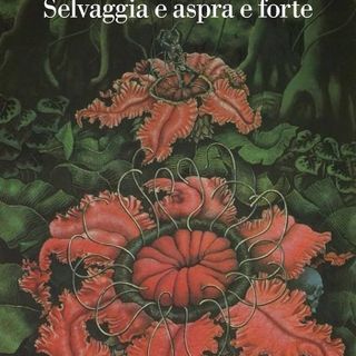 Foto: la copertina del romanzo