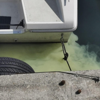 Ancora problemi alla fognatura nel quartiere di Bagnella