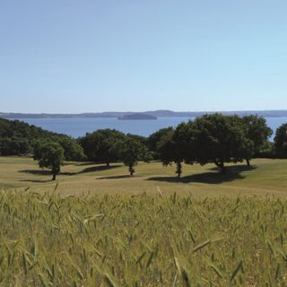 Agroforestazione e cambiamento climatico, a Verbania due giornate di formazione
