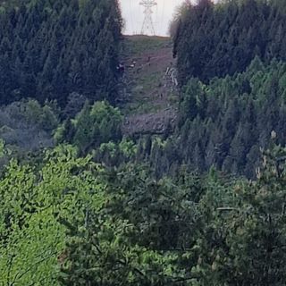 Tragedia del Mottarone, il cordoglio del principe Vitaliano Borromeo