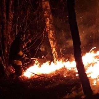 Vasto incendio alle pendici del monte Sciarrè, nel territorio del Comune di Gignese