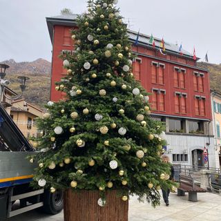 Cinque alberi di Natale e una pista di pattinaggio galleggiante per le festività omegnesi