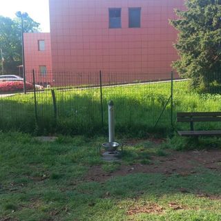 Crusinallo, guasta la fontanella nell’area cani: appello dei proprietari per la riparazione