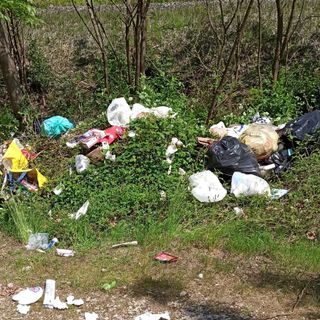 Abbandono di rifiuti a Gravellona Toce, Morandi: "Certi scenari non sono più tollerabili"