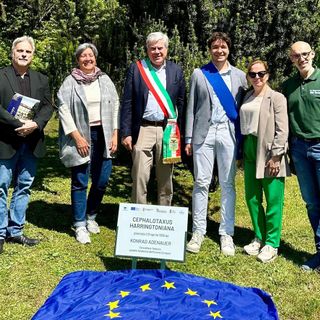 "L'Albero di Adenauer": un incontro a Villa Taranto tra passato e futuro dell'Unione Europea