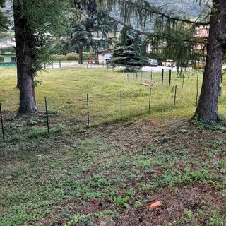 Il &quot;Giardino di Fido&quot; a Crusinallo: un'area di sgambamento cani in attesa di essere aperta