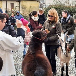 Torna a Pallanza la tradizionale benedizione degli animali