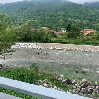 Bloccate in mezzo allo Strona, curiosa disavventura per alcune capre