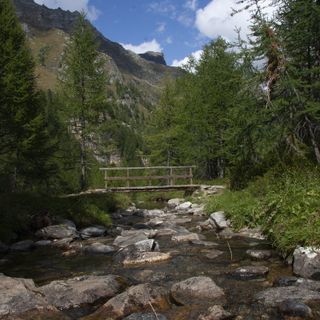 Proposta di legge per valorizzare le reti escursionistiche, Cristina (Fi): “Un'opportunità di crescita per il Vco”