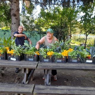 Con la Pro Senectute la tradizionale &quot;Festa degli orti&quot;