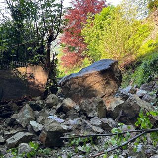 Conclusi i lavori di disgaggio sulla strada per l'Alpe Selviana