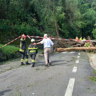 Riapre a senso unico alternato la statale della Valle Cannobina