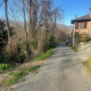 Via Cassinone a Crusinallo: una situazione pericolosa da risolvere subito FOTO